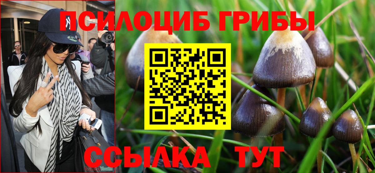 Псилоцибиновые грибы Magic Shrooms Заречный